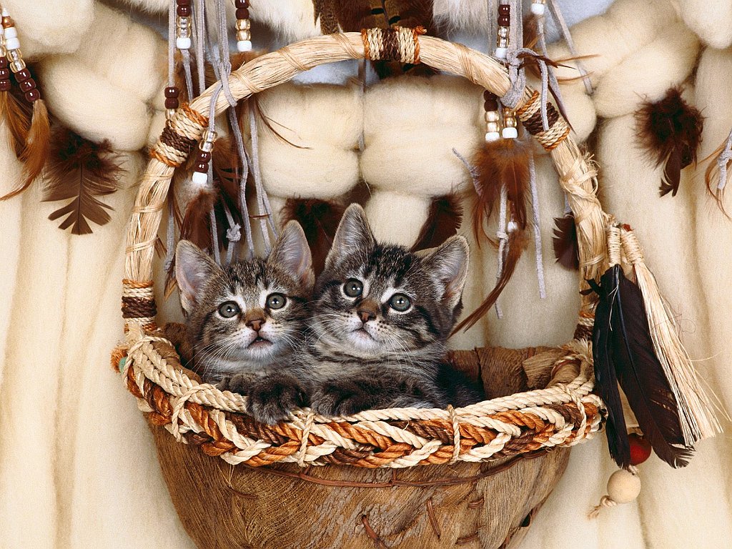 Bundle of Lovin